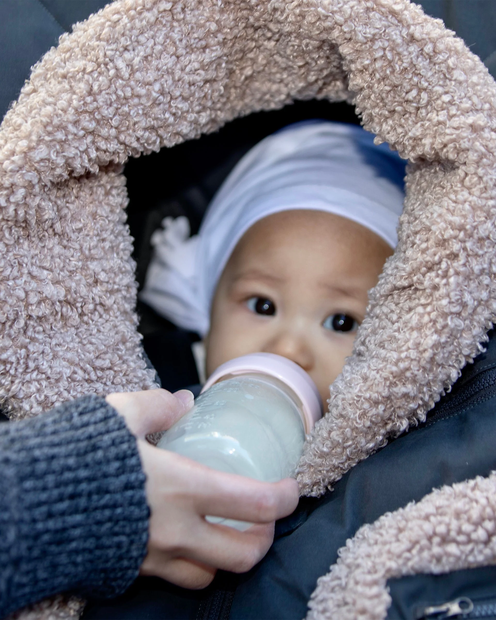 7AM Car Seat Cocoon Teddy Applique - Image 6