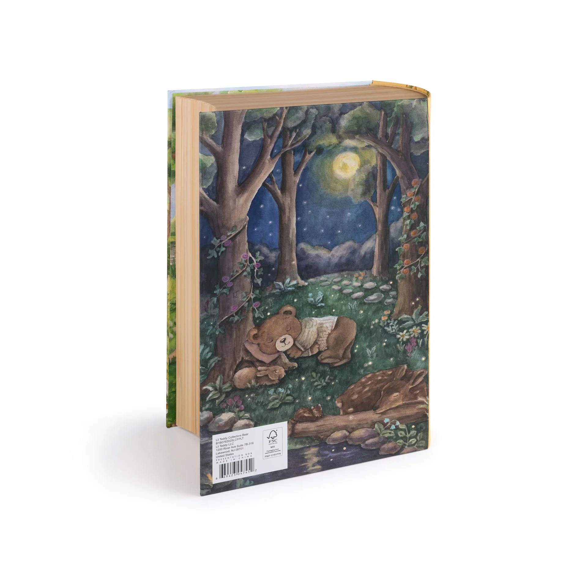 Lil Teddy Collector’s Bear – Storybook Edition - Image 17
