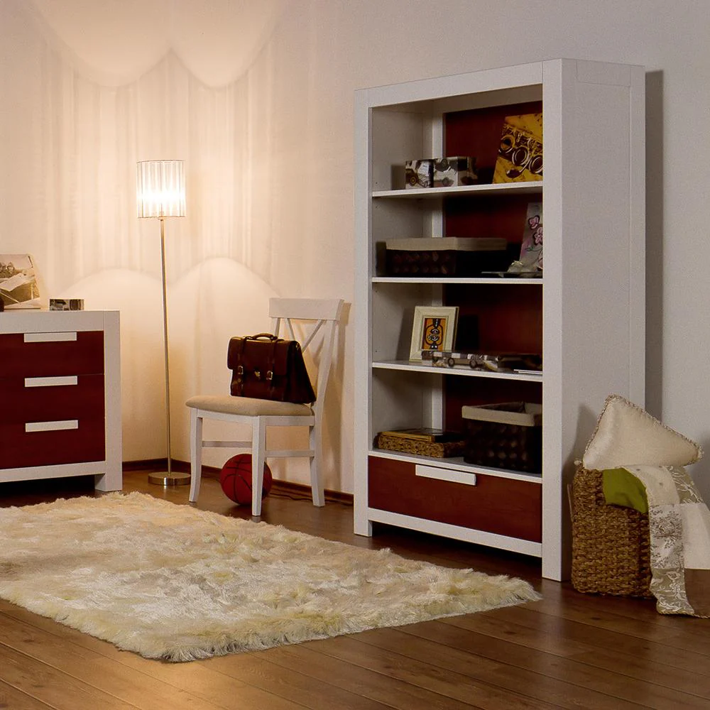 Romina Ventianni Bookcase - Image 8